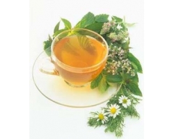 vaistažolių arbatos naudingos lieknėjimui ecoslim svetainė oficiali