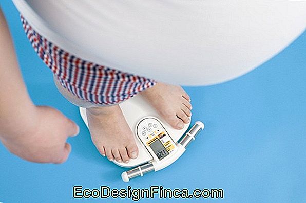 namuose gudrybės greitai numesti svorį