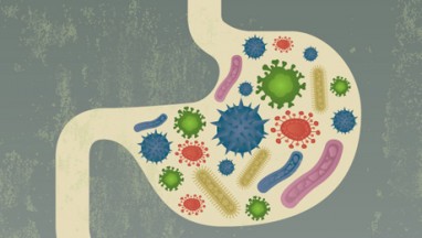 žarnyno bakterijos padedančios numesti svorį prarasti apatinę kūno riebalų dalį namuose