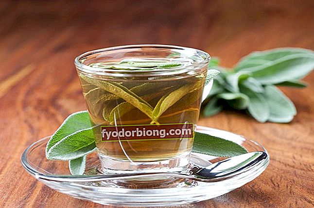 kokia arbata gali deginti pilvo riebalus