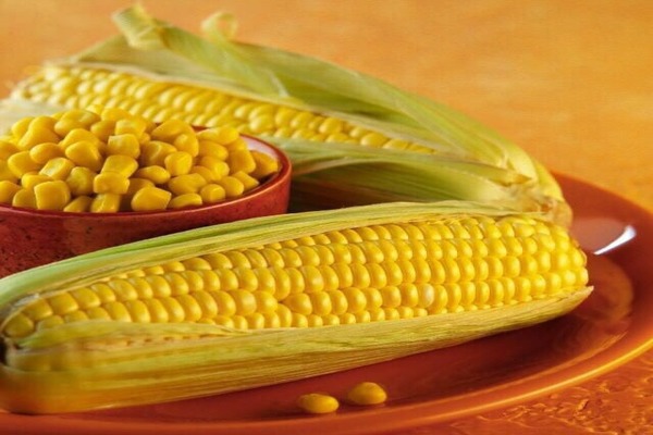 svorio kukurūzai geriausia riebalų deginimas pataria