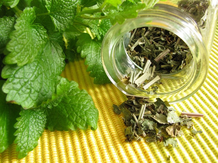 vaistažolių arbatos naudingos lieknėjimui ar specialus k padeda numesti svorį
